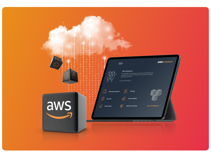 
									Amazon Web Services (AWS)