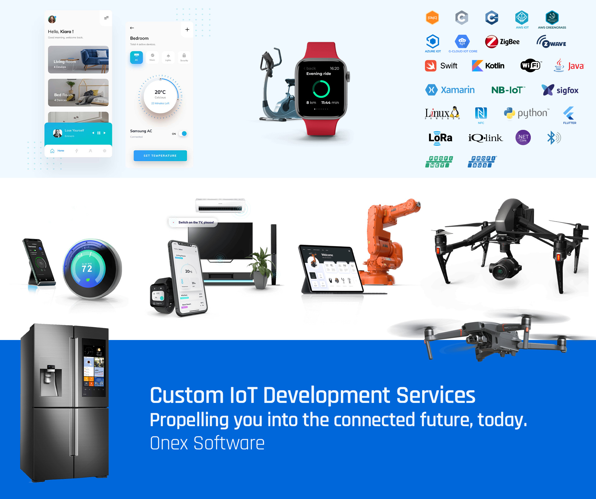 IoT Development Services